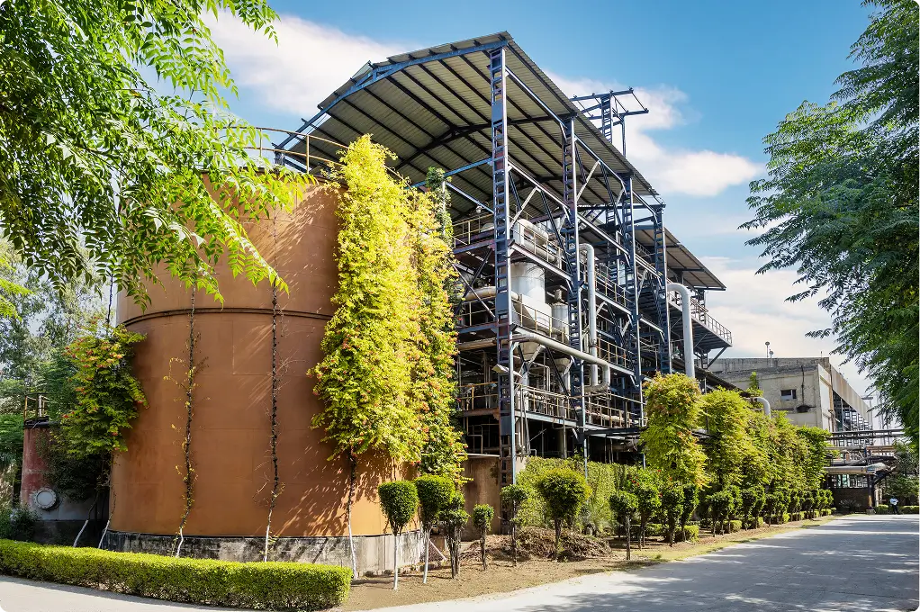 Oasis Distilleries Ltd.