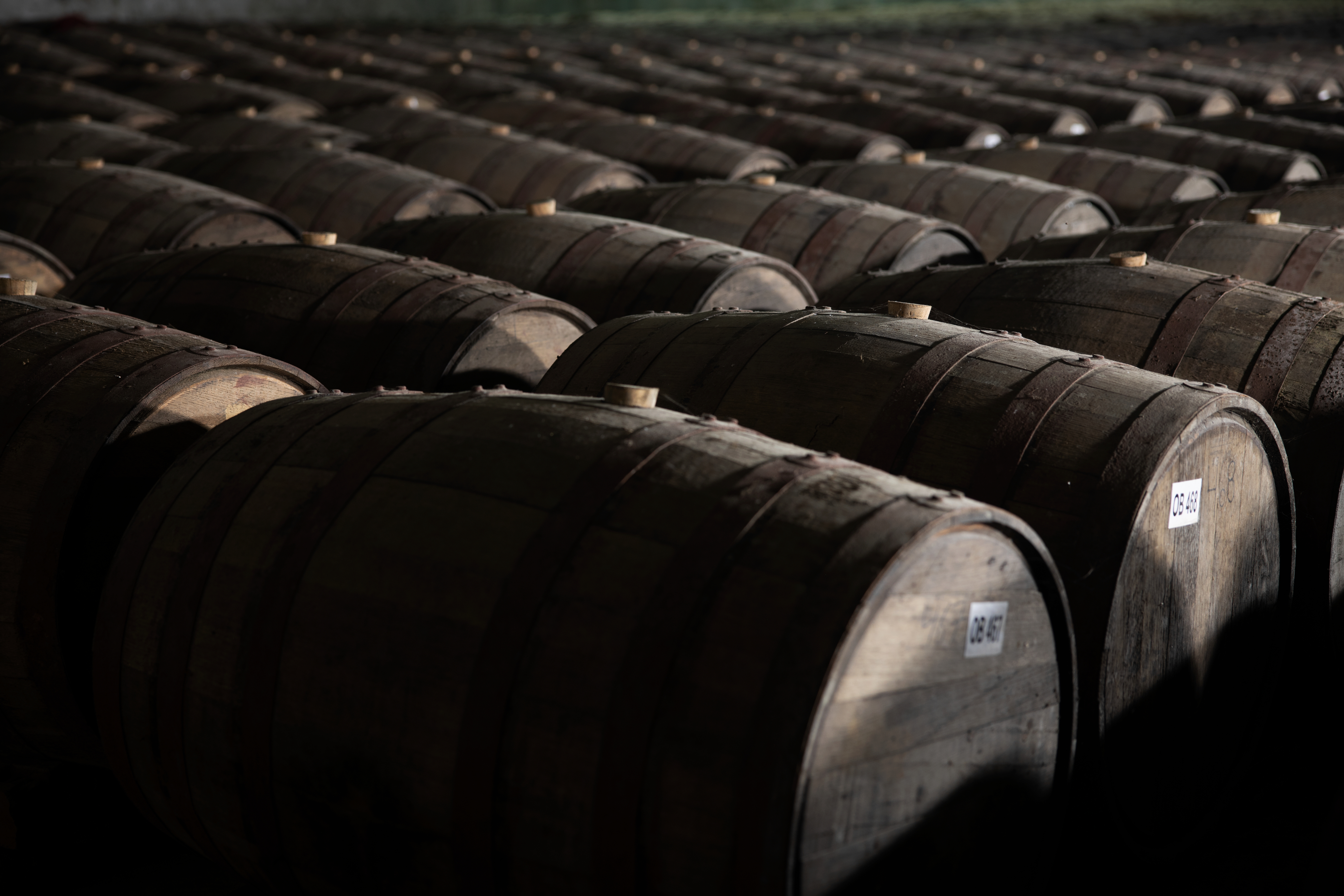 barrels (1)